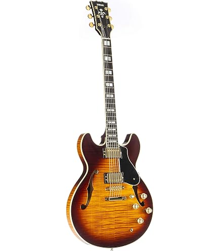 Amazon.com: Ibanez Artcore Expressionist AM93QM - Antique Yellow